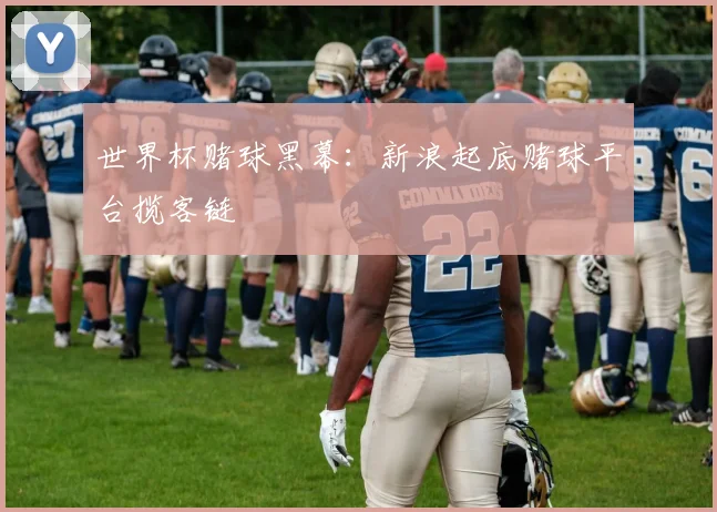 世界杯赌球黑幕：新浪起底赌球平台揽客链