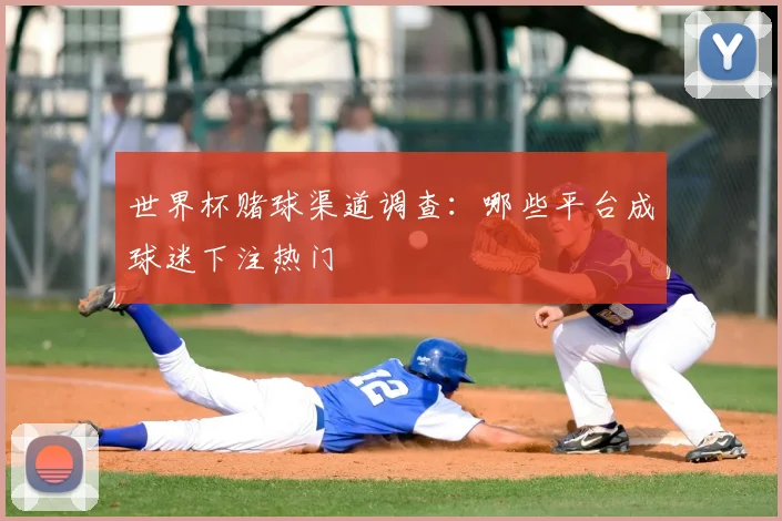 世界杯赌球渠道调查:哪些平台成球迷下注热门