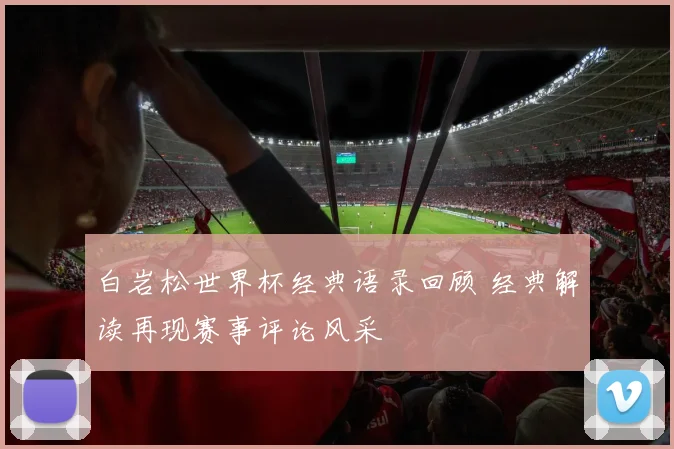 白岩松世界杯经典语录回顾 经典解读再现赛事评论风采