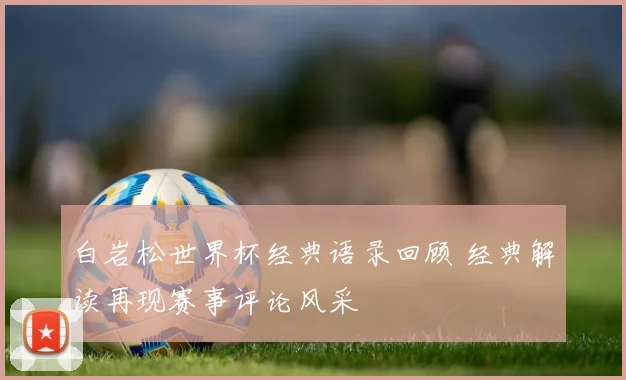 白岩松世界杯经典语录回顾 经典解读再现赛事评论风采