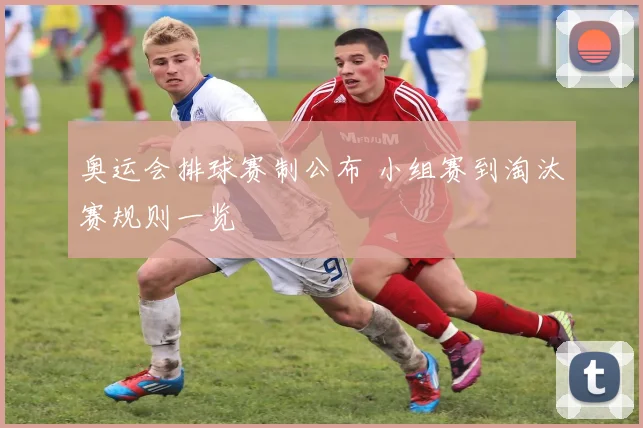 奥运会排球赛制公布 小组赛到淘汰赛规则一览