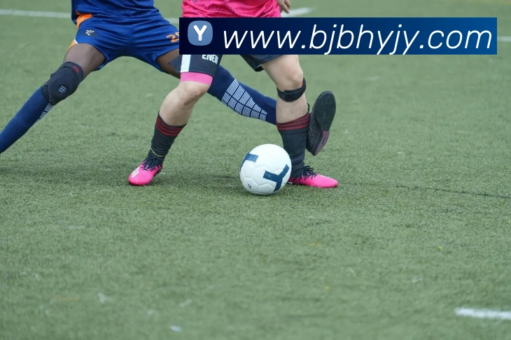 开云手机入口官网APP 封面图